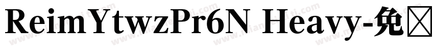 ReimYtwzPr6N Heavy字体转换
